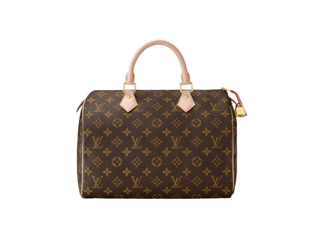 Louis Vuitton Louis Vuitton Speedy 30 Handbag