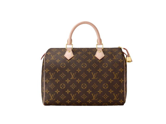 Louis Vuitton Louis Vuitton Speedy 30 Handbag - view 1