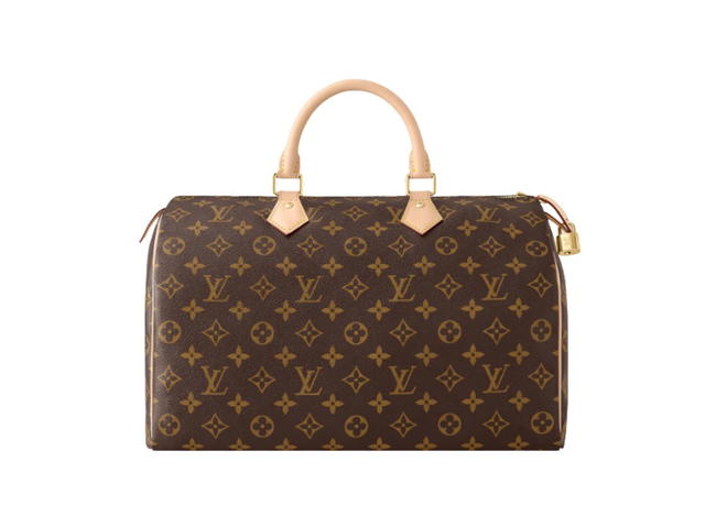 Louis Vuitton Louis Vuitton Speedy 35 Handbag - view 1