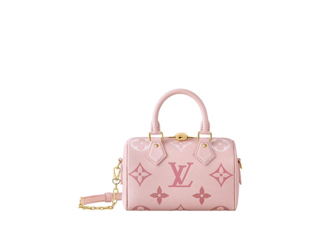 Louis Vuitton Louis Vuitton Speedy 20 Handbag - view 1