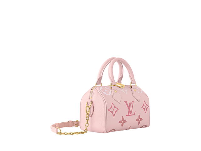 Louis Vuitton Louis Vuitton Speedy 20 Handbag - view 2