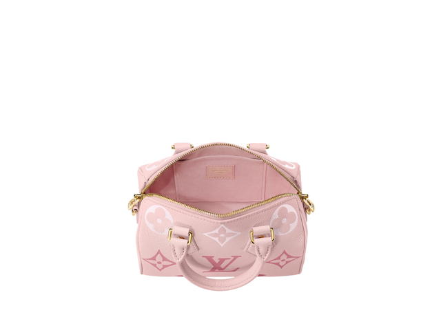 Louis Vuitton Louis Vuitton Speedy 20 Handbag - view 3