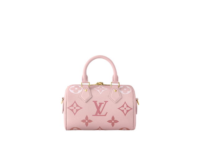 Louis Vuitton Louis Vuitton Speedy 20 Handbag - view 4