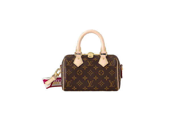 Louis Vuitton Louis Vuitton Speedy 20 Handbag - view 1