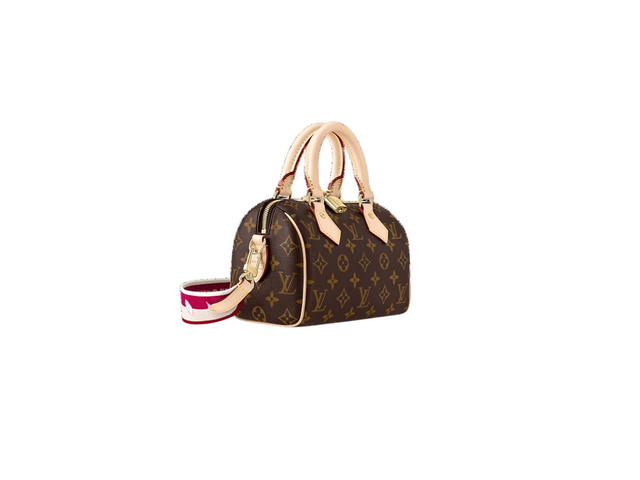 Louis Vuitton Louis Vuitton Speedy 20 Handbag - view 2