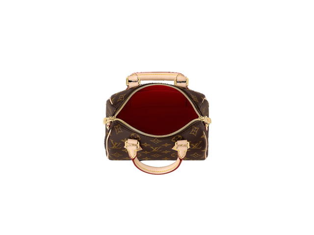 Louis Vuitton Louis Vuitton Speedy 20 Handbag - view 3