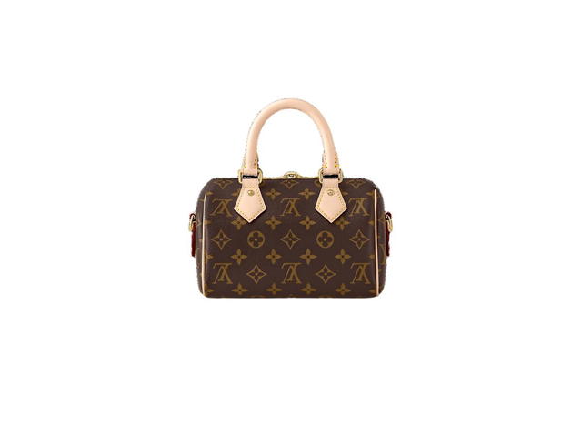 Louis Vuitton Louis Vuitton Speedy 20 Handbag - view 4