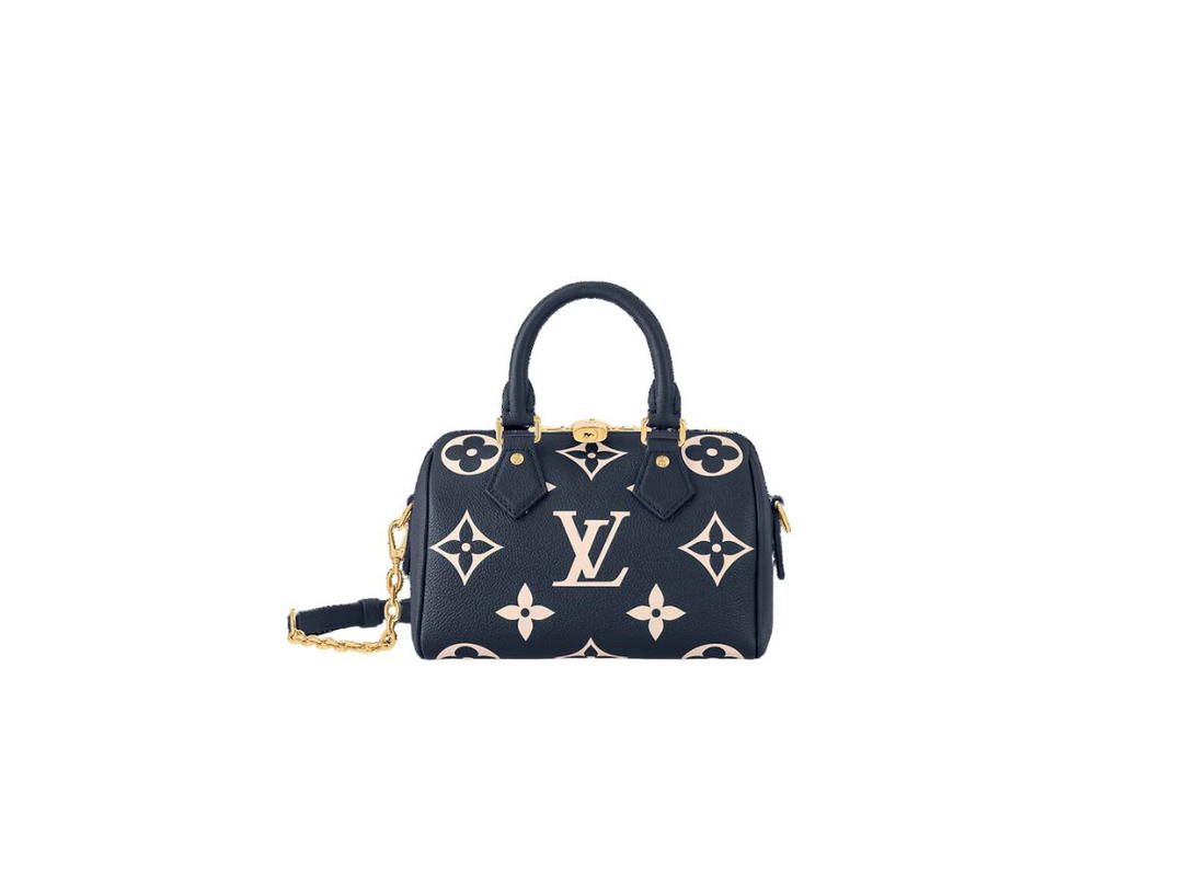 Louis Vuitton Louis Vuitton Speedy 20 Handbag