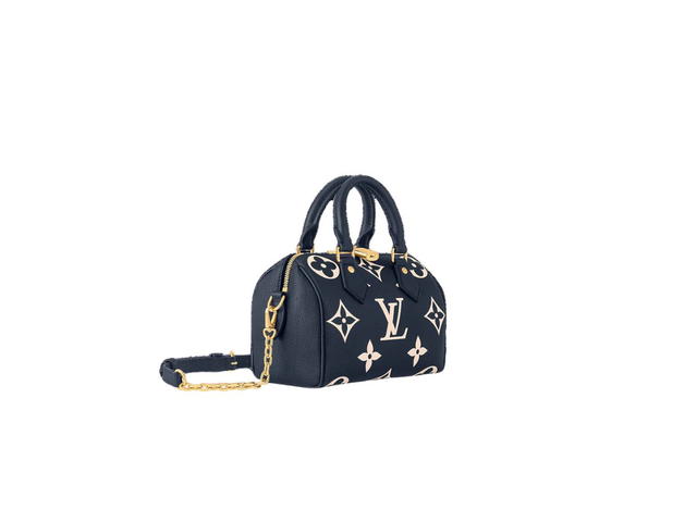 Louis Vuitton Louis Vuitton Speedy 20 Handbag - view 2