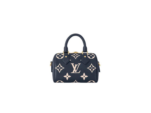 Louis Vuitton Louis Vuitton Speedy 20 Handbag - view 4