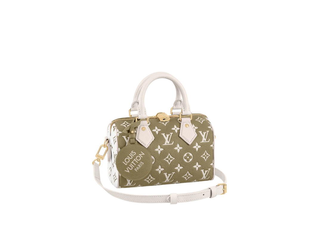 Louis Vuitton Louis Vuitton Speedy 20 Handbag