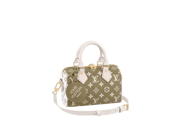 Louis Vuitton Louis Vuitton Speedy 20 Handbag - view 1