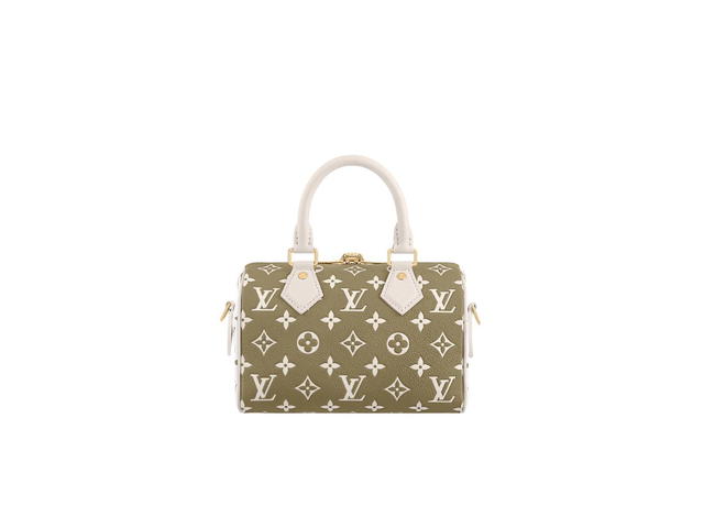 Louis Vuitton Louis Vuitton Speedy 20 Handbag - view 2