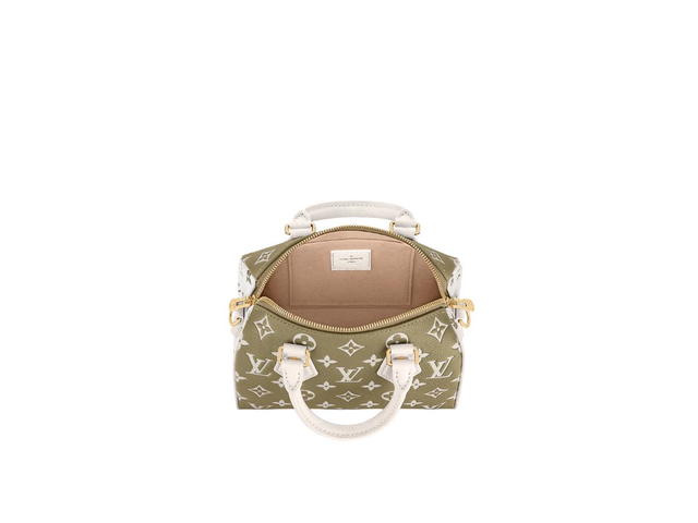 Louis Vuitton Louis Vuitton Speedy 20 Handbag - view 3