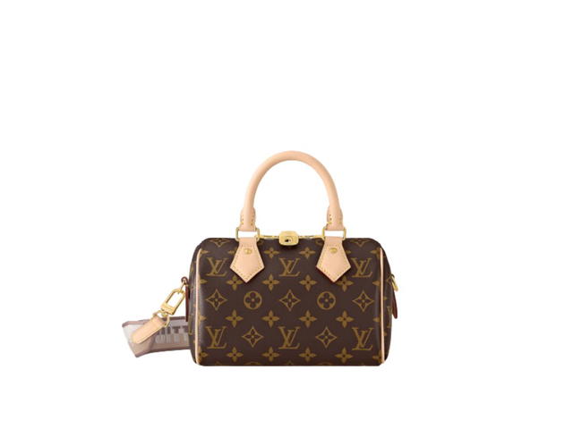 Louis Vuitton Louis Vuitton Speedy 20 Handbag - view 1