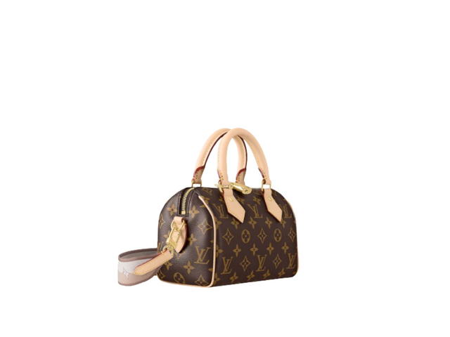 Louis Vuitton Louis Vuitton Speedy 20 Handbag - view 2