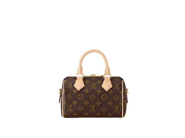Louis Vuitton Louis Vuitton Speedy 20 Handbag - view 3
