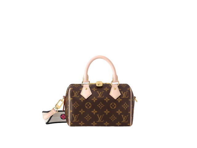 Louis Vuitton Louis Vuitton Speedy 20 Handbag - view 1