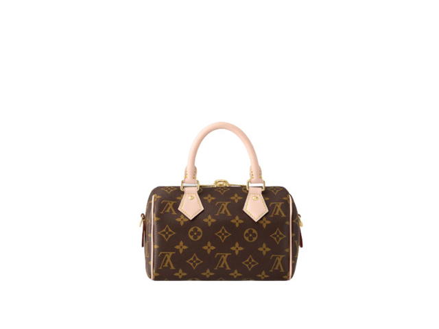 Louis Vuitton Louis Vuitton Speedy 20 Handbag - view 2