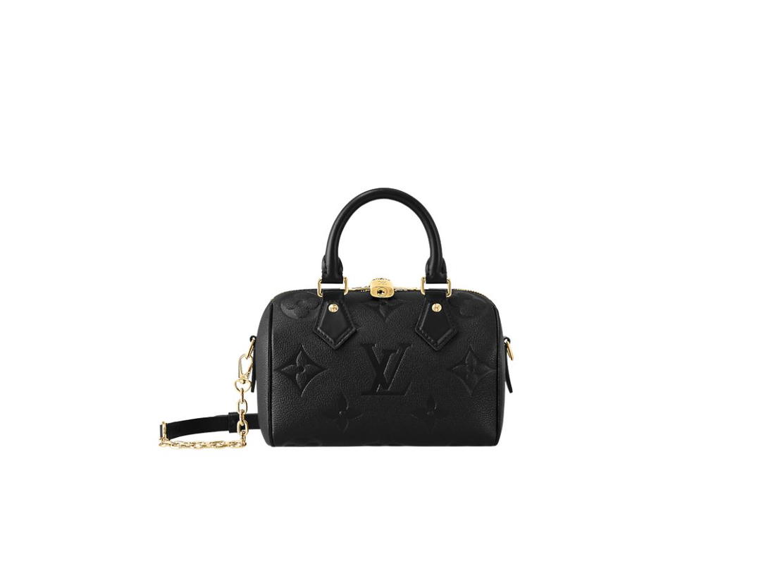 Louis Vuitton Louis Vuitton Speedy 20 Handbag