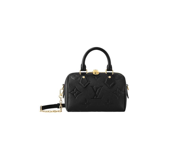 Louis Vuitton Louis Vuitton Speedy 20 Handbag - view 1