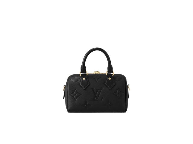 Louis Vuitton Louis Vuitton Speedy 20 Handbag - view 2