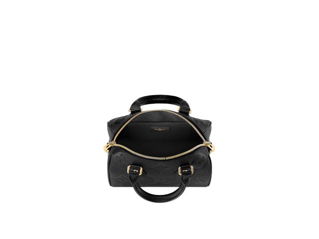 Louis Vuitton Louis Vuitton Speedy 20 Handbag - view 3