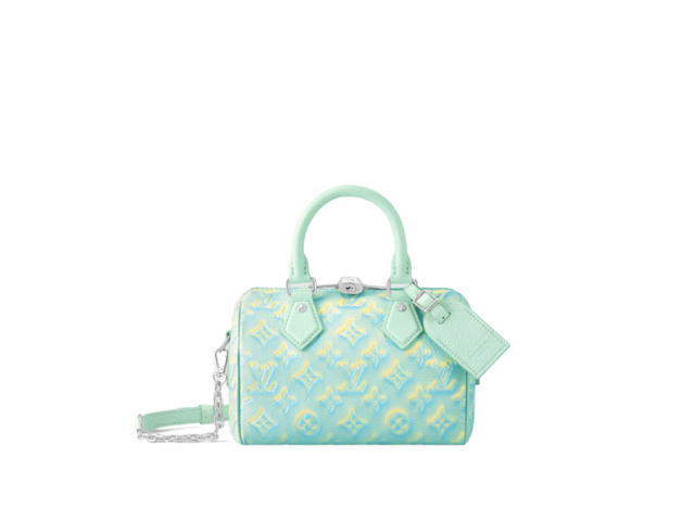 Louis Vuitton Louis Vuitton Speedy 20 Handbag - view 1