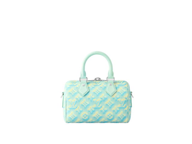 Louis Vuitton Louis Vuitton Speedy 20 Handbag - view 2