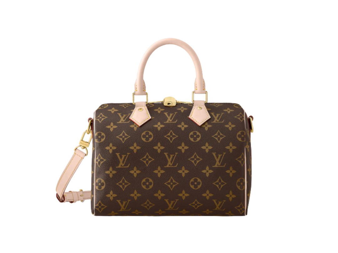 Louis Vuitton Louis Vuitton Speedy 25 Handbag