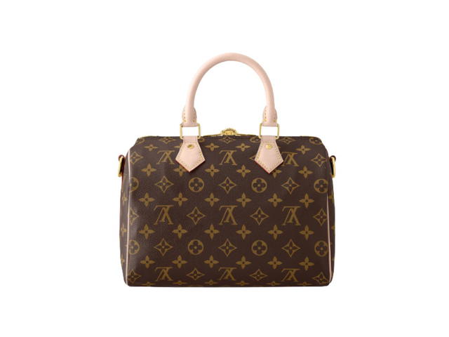 Louis Vuitton Louis Vuitton Speedy 25 Handbag - view 2