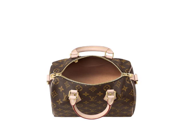 Louis Vuitton Louis Vuitton Speedy 25 Handbag - view 3