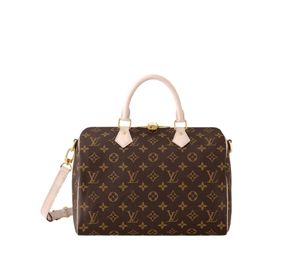 Buy Louis Vuitton Speedy 30 Handbag at Sasom – Authentic and Ready to Ship