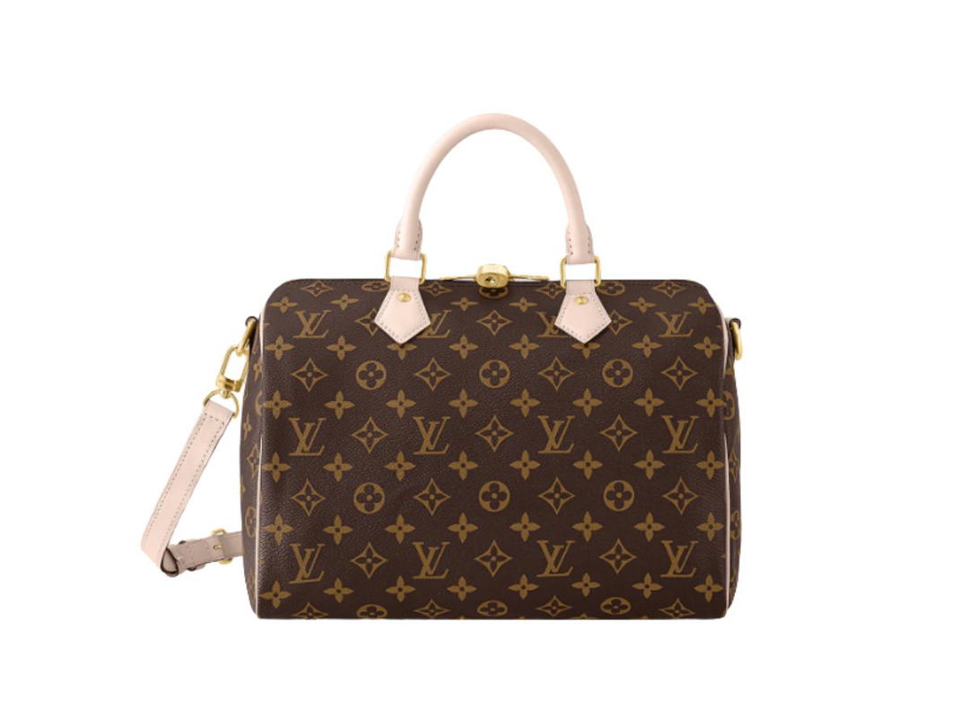 Louis Vuitton Louis Vuitton Speedy 30 Handbag