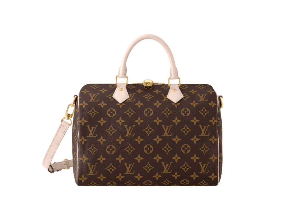 Louis Vuitton Louis Vuitton Speedy 30 Handbag