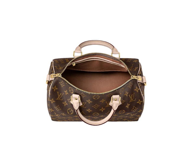 Louis Vuitton Louis Vuitton Speedy 30 Handbag - view 3