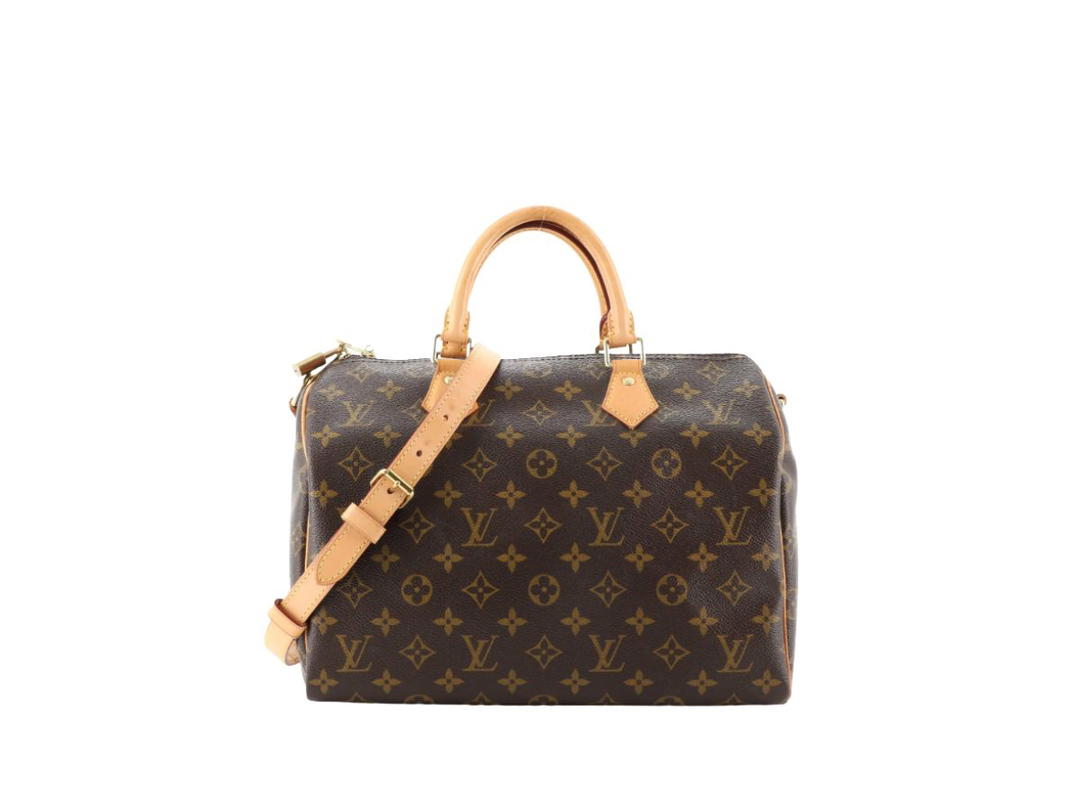 Louis Vuitton Louis Vuitton Speedy Handbag