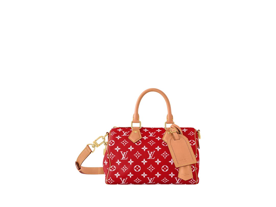 Louis Vuitton Louis Vuitton Speedy 25 Handbag P9