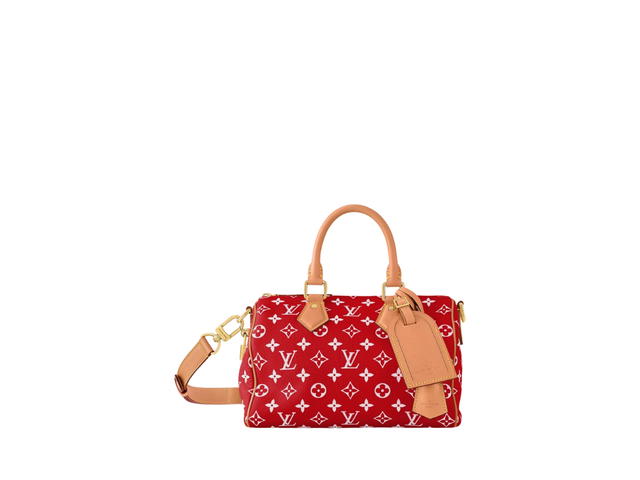 Louis Vuitton Louis Vuitton Speedy 25 Handbag P9 - view 1