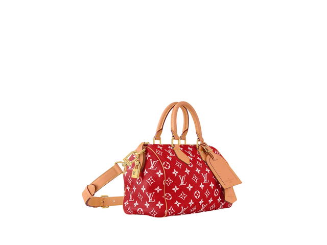 Louis Vuitton Louis Vuitton Speedy 25 Handbag P9 - view 2