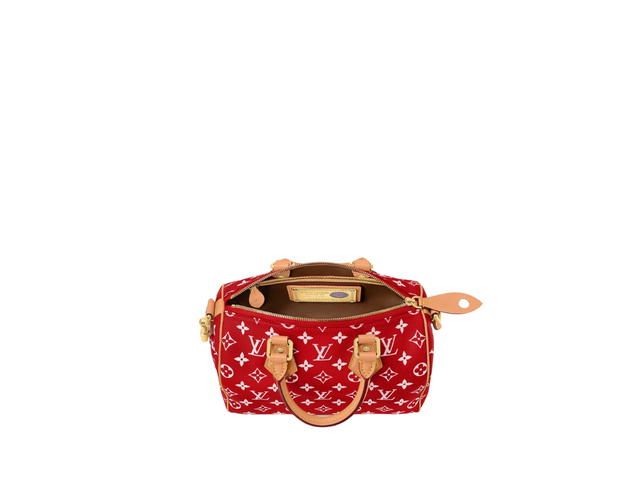 Louis Vuitton Louis Vuitton Speedy 25 Handbag P9 - view 3
