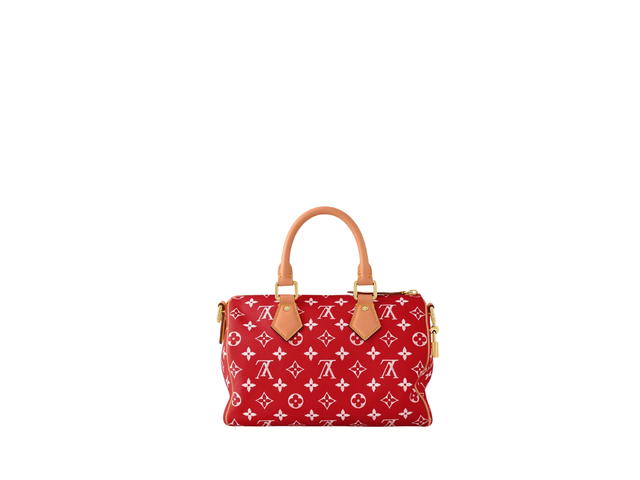 Louis Vuitton Louis Vuitton Speedy 25 Handbag P9 - view 4