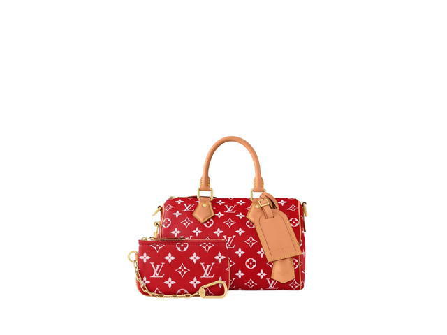Louis Vuitton Louis Vuitton Speedy 25 Handbag P9 - view 5