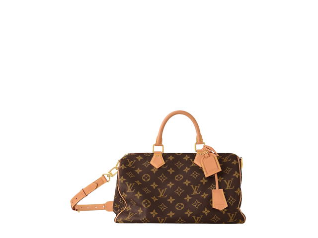 Louis Vuitton Louis Vuitton Speedy Handbag P9 - view 1