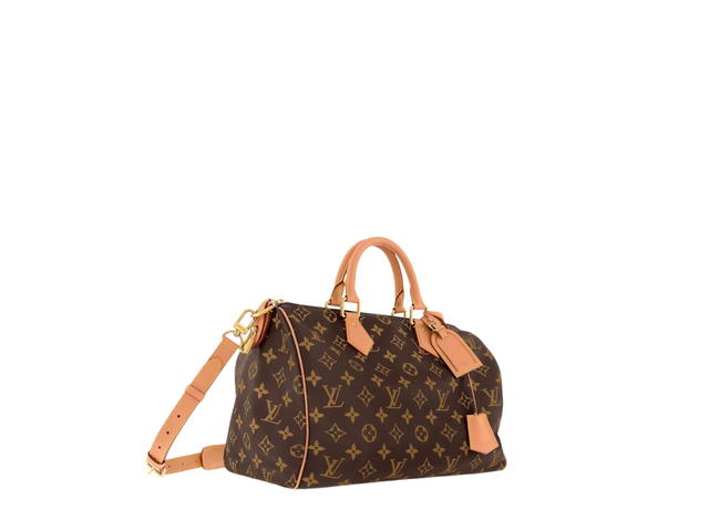 Louis Vuitton Louis Vuitton Speedy Handbag P9 - view 4