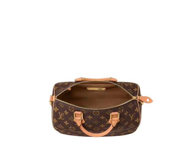 Louis Vuitton Louis Vuitton Speedy Handbag P9 - view 5