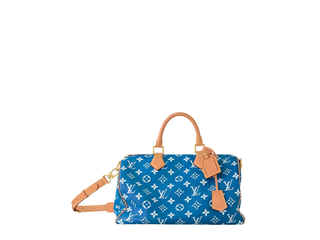 Louis Vuitton Louis Vuitton Speedy Handbag P9