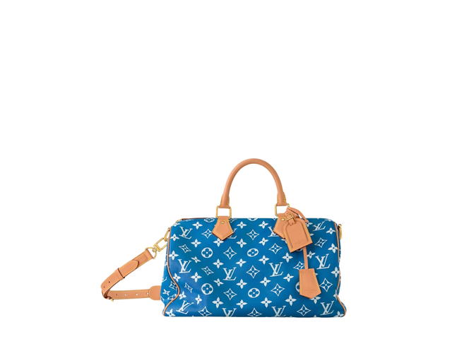 Louis Vuitton Louis Vuitton Speedy Handbag P9 - view 1