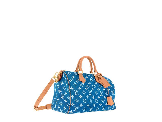 Louis Vuitton Louis Vuitton Speedy Handbag P9 - view 4