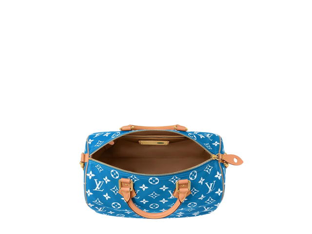 Louis Vuitton Louis Vuitton Speedy Handbag P9 - view 5